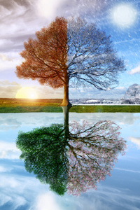 Dungeon of Seasons
