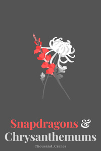 Snapdragons & Chrysanthemums