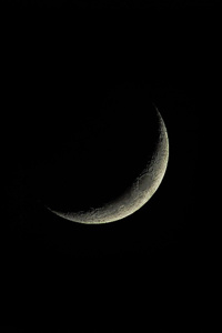 Man In The Moon