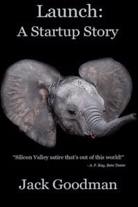Launch: A Startup Story Beginning