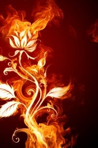 Euphoria [DISCONTINUED]