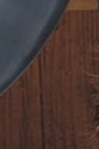 Chronicles of the Ascendant Realm