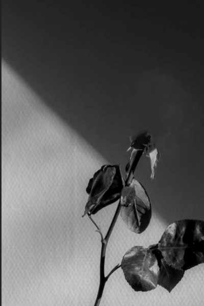 When You're an Addams