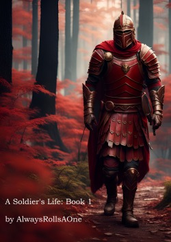 A Soldier’s Life