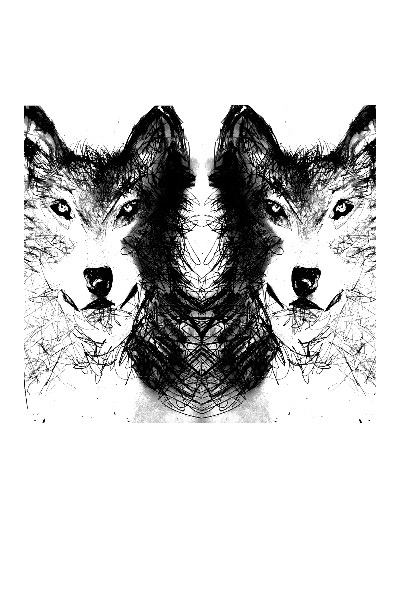 Mr. Wolf